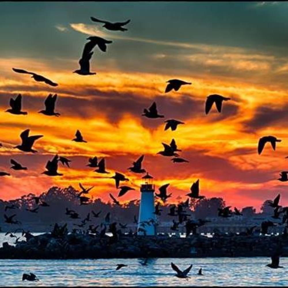 Meet your Posher, Thayara